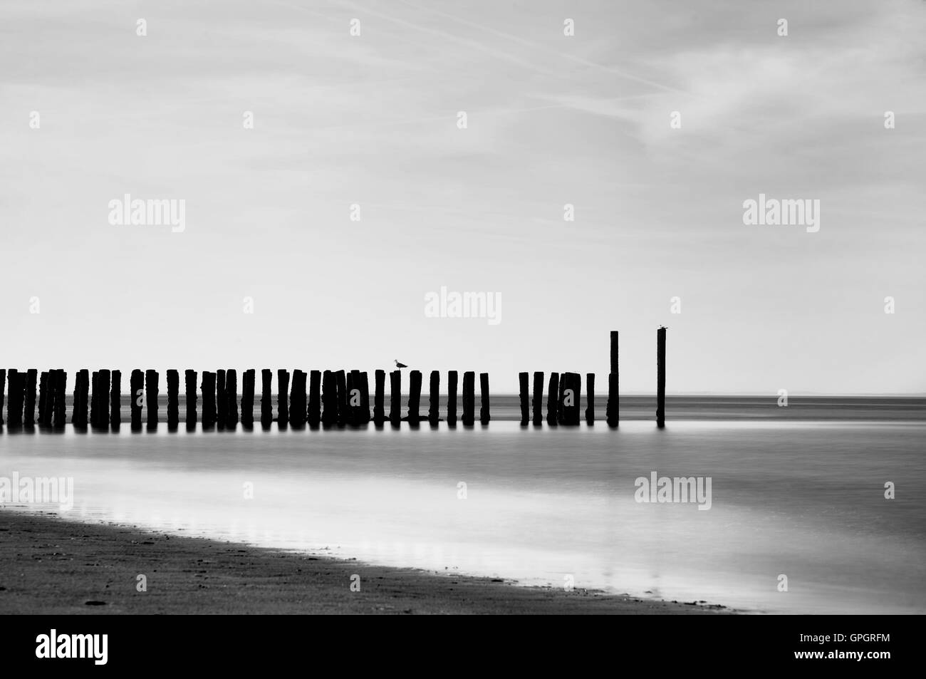 Der Strand von West-Kapelle in klassischem Schwarz-weiß. auf die Küste von Zeeland - Holland Stockfoto