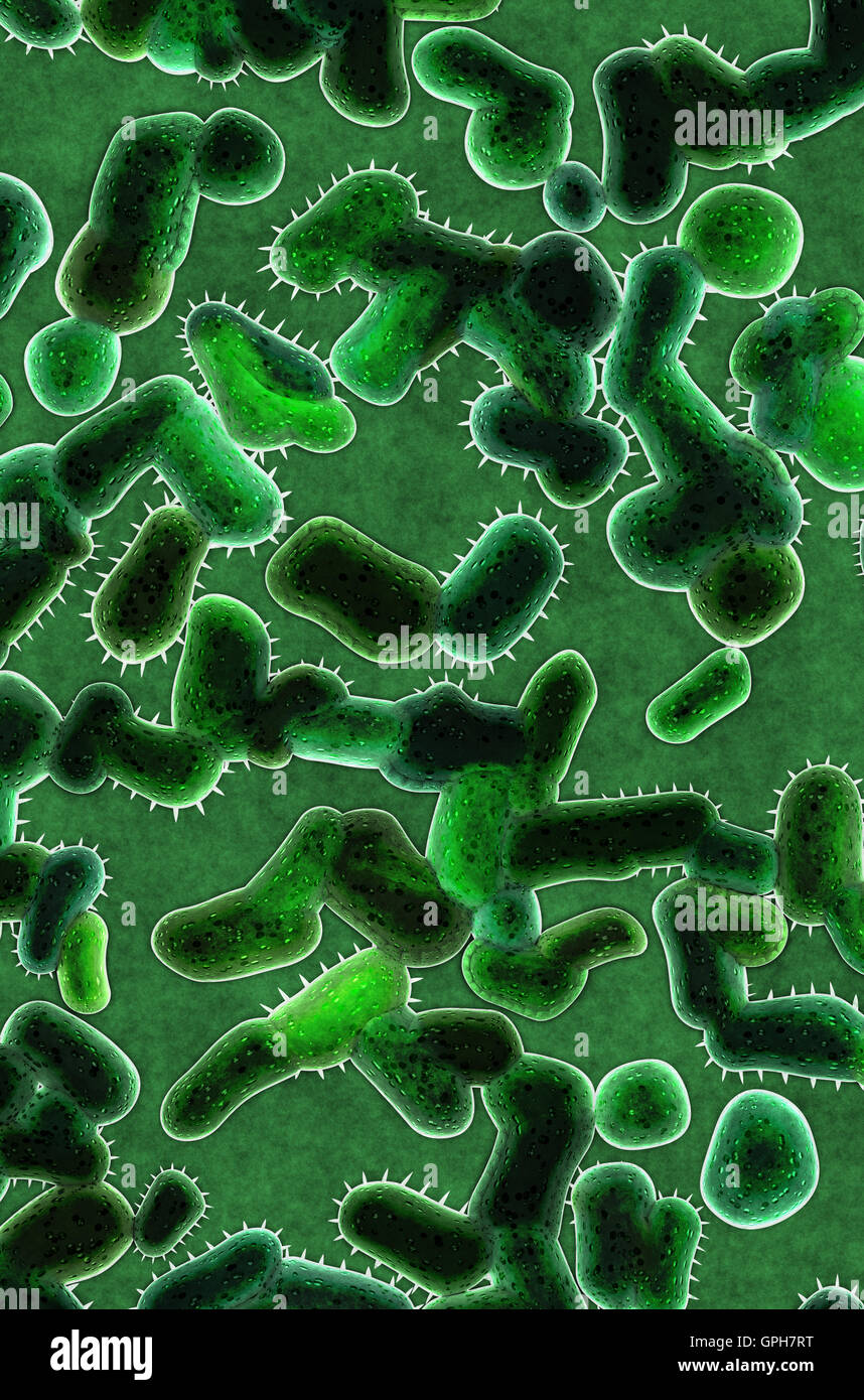 Kolonie von gefährlichen Bakterien Stockfoto