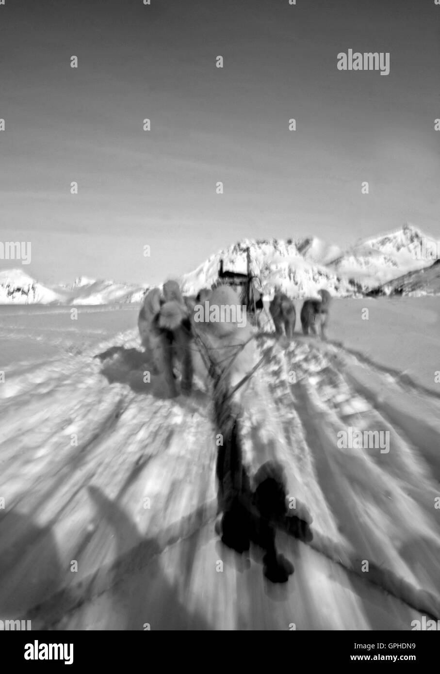 Kulusuk. Grönland. Stockfoto