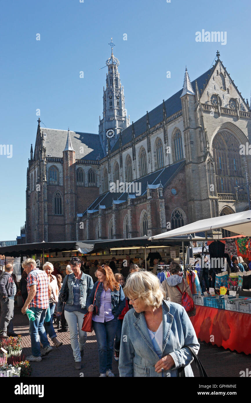 Sint-Bavokerk oder Grote Kerk, Haarlem, Nordholland, Niederlande Stockfoto