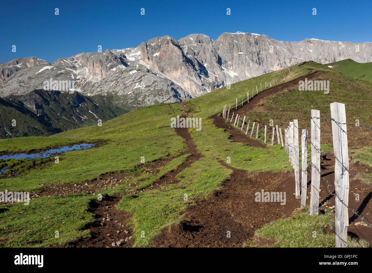 Wanderweg entlang der tierischen Zaun in Duron Tal, Südtirol, Italien Stockfoto