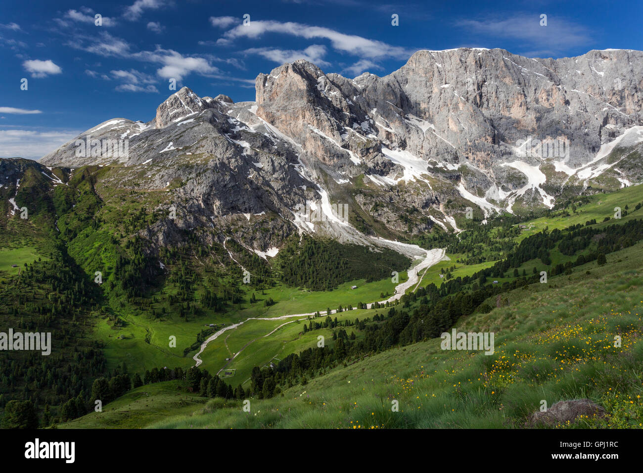 Blick auf den Duron Tal im Sommer, Trentino-Südtirol, Italien Stockfoto