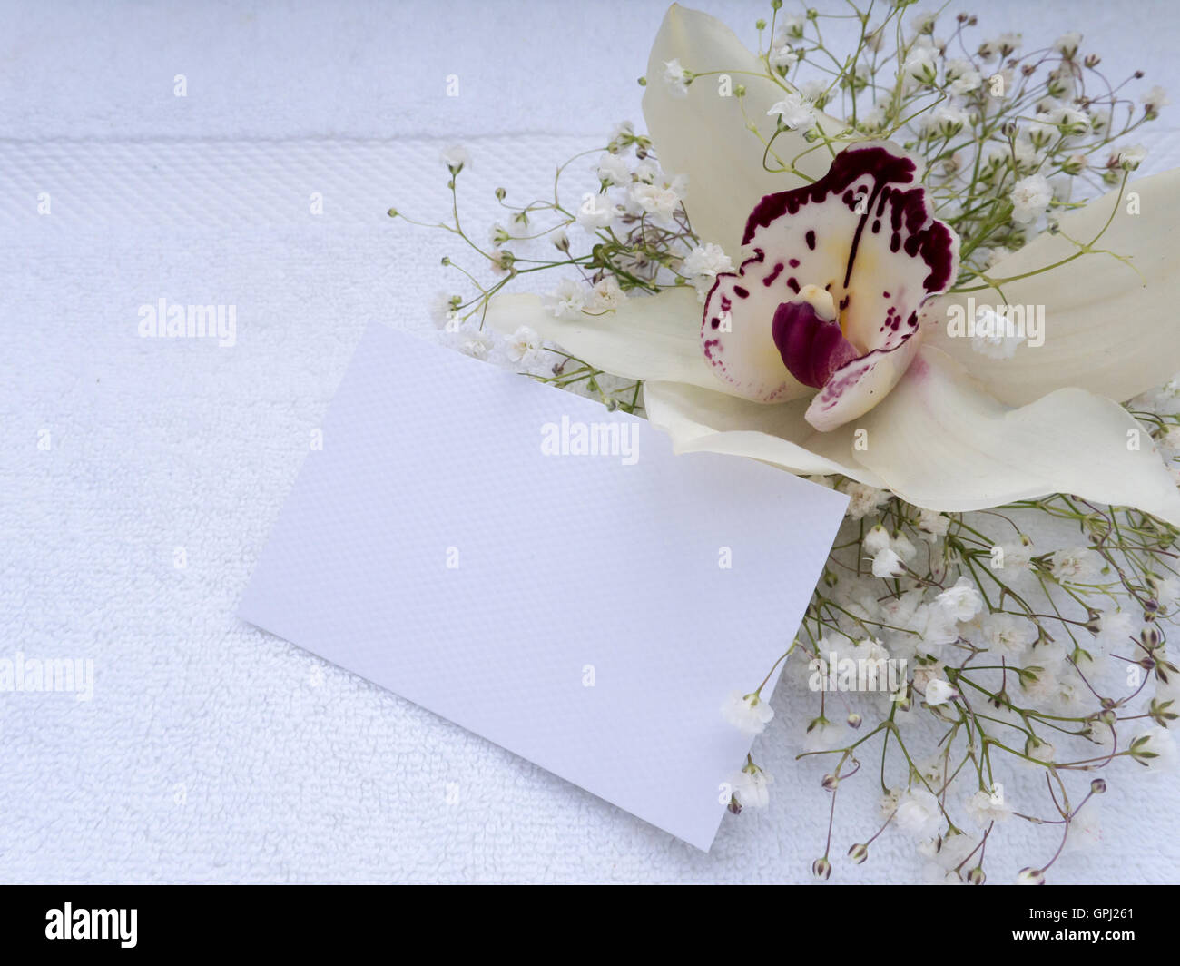 Weiße Orchidee Blume, mit Streuseln von Veilchen und Einladung oder Grußkarte auf der weißen Frotteetuch Stockfoto