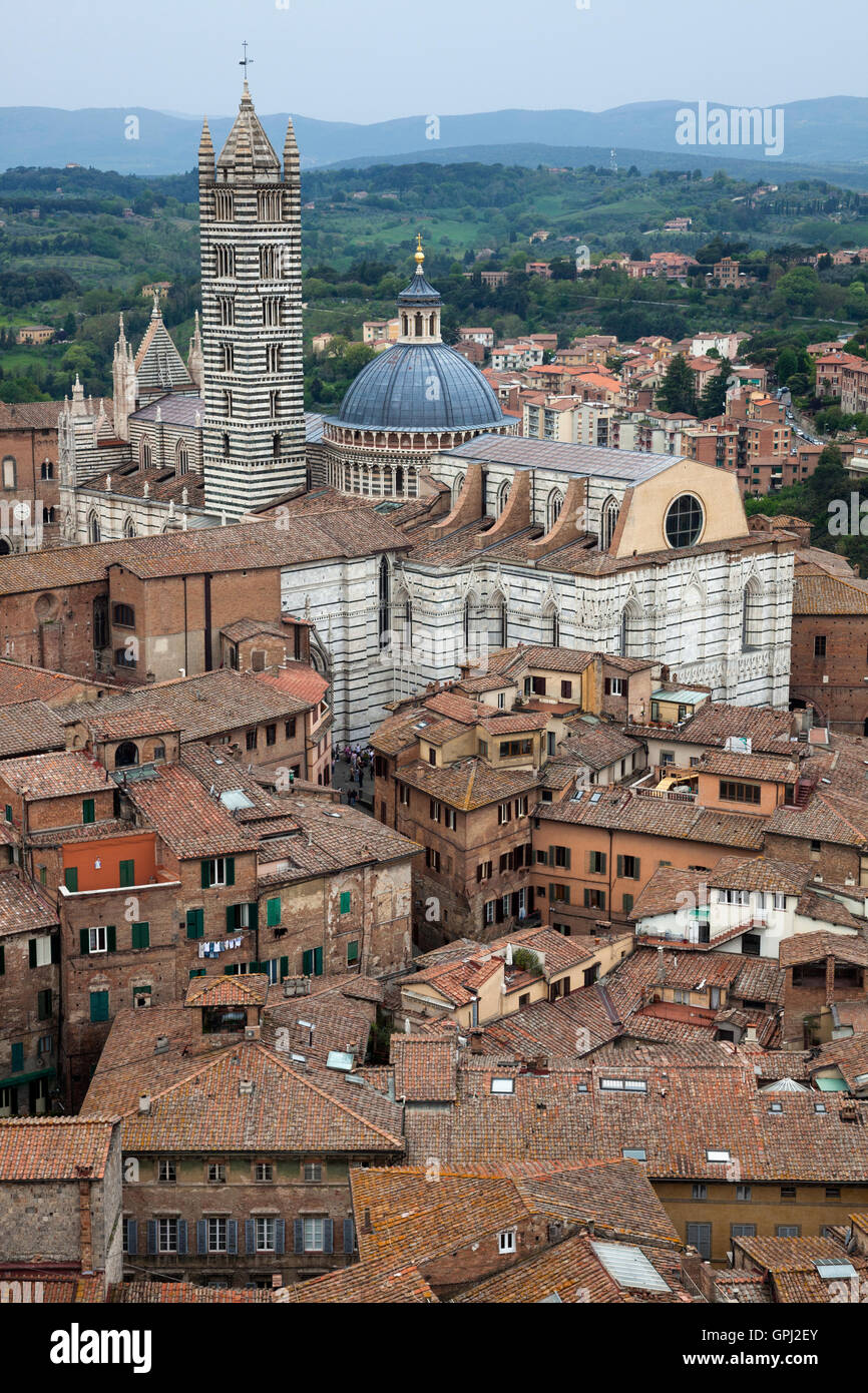 Luftaufnahme von Siena Altstadt mit Dom Stockfoto