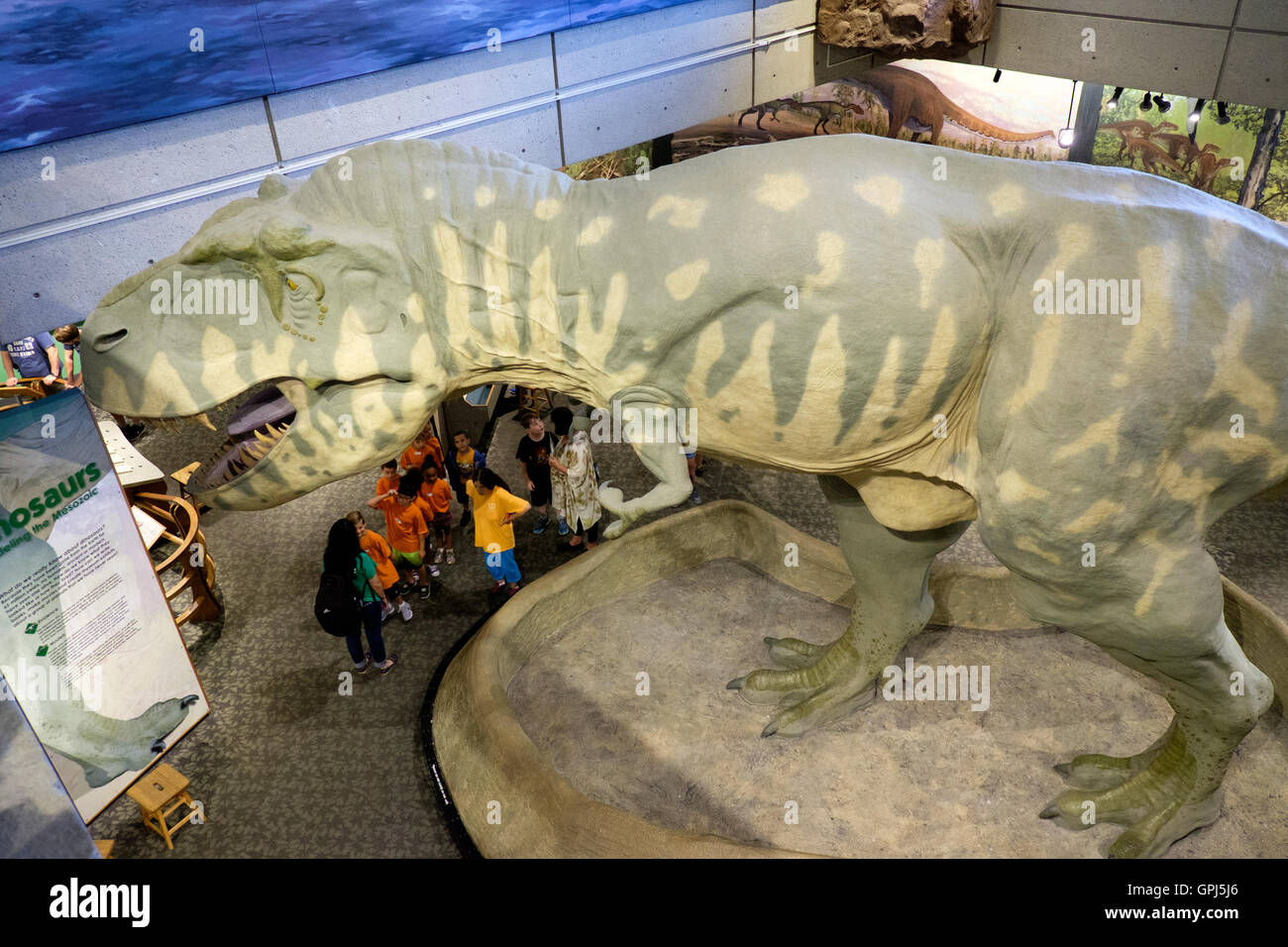 Dinosaurier im Museum of Science Boston, USA Stockfoto