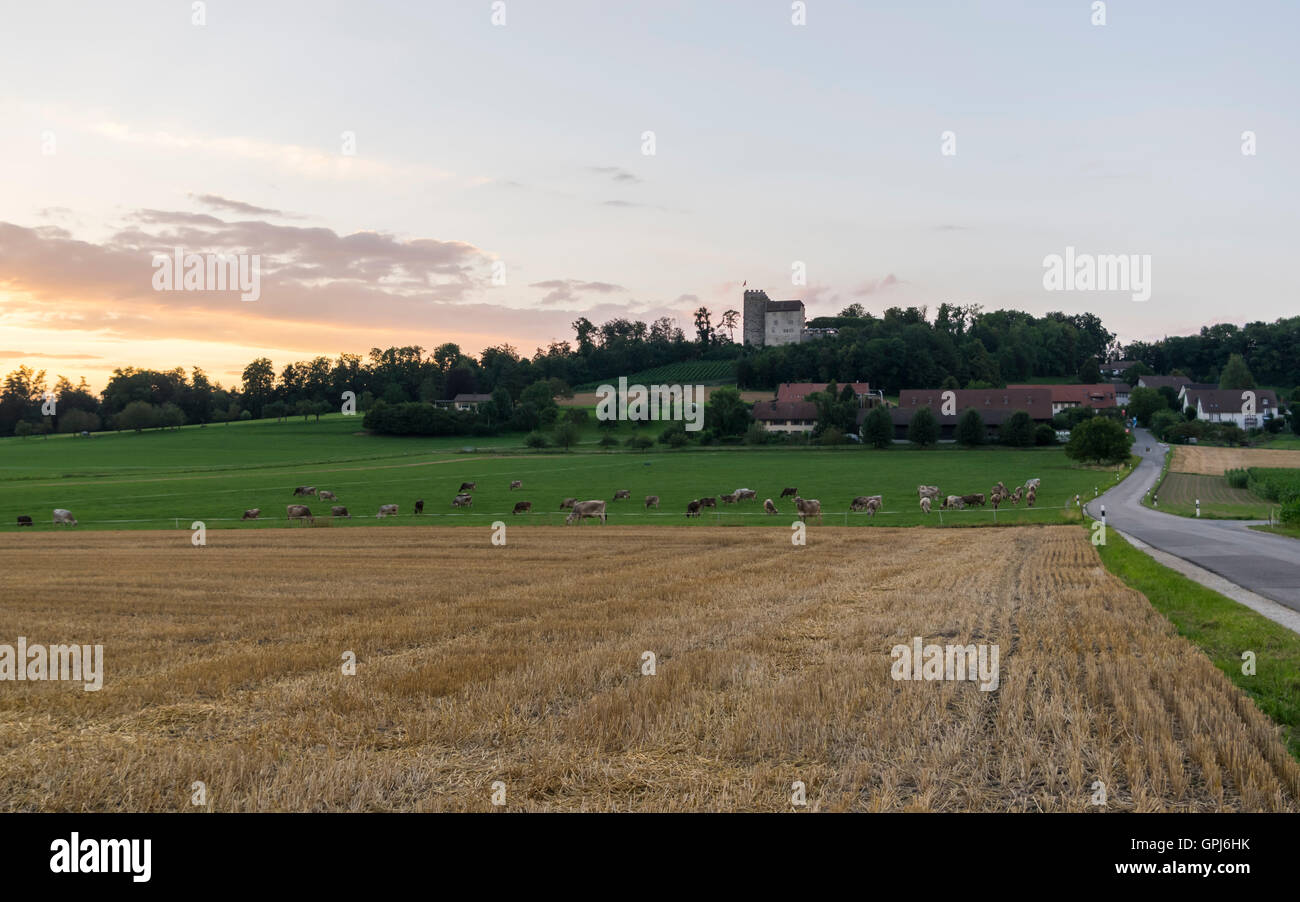 Habsburg Schloss, dem ursprünglichen Sitz des Hauses Habsburg, auf einem Hügel in der ländlichen Schweiz. Aargau, Schweiz. Stockfoto