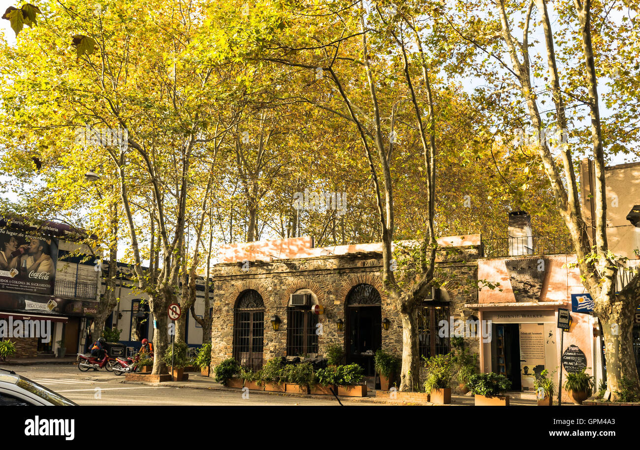 Abend in der Stadt Stockfoto