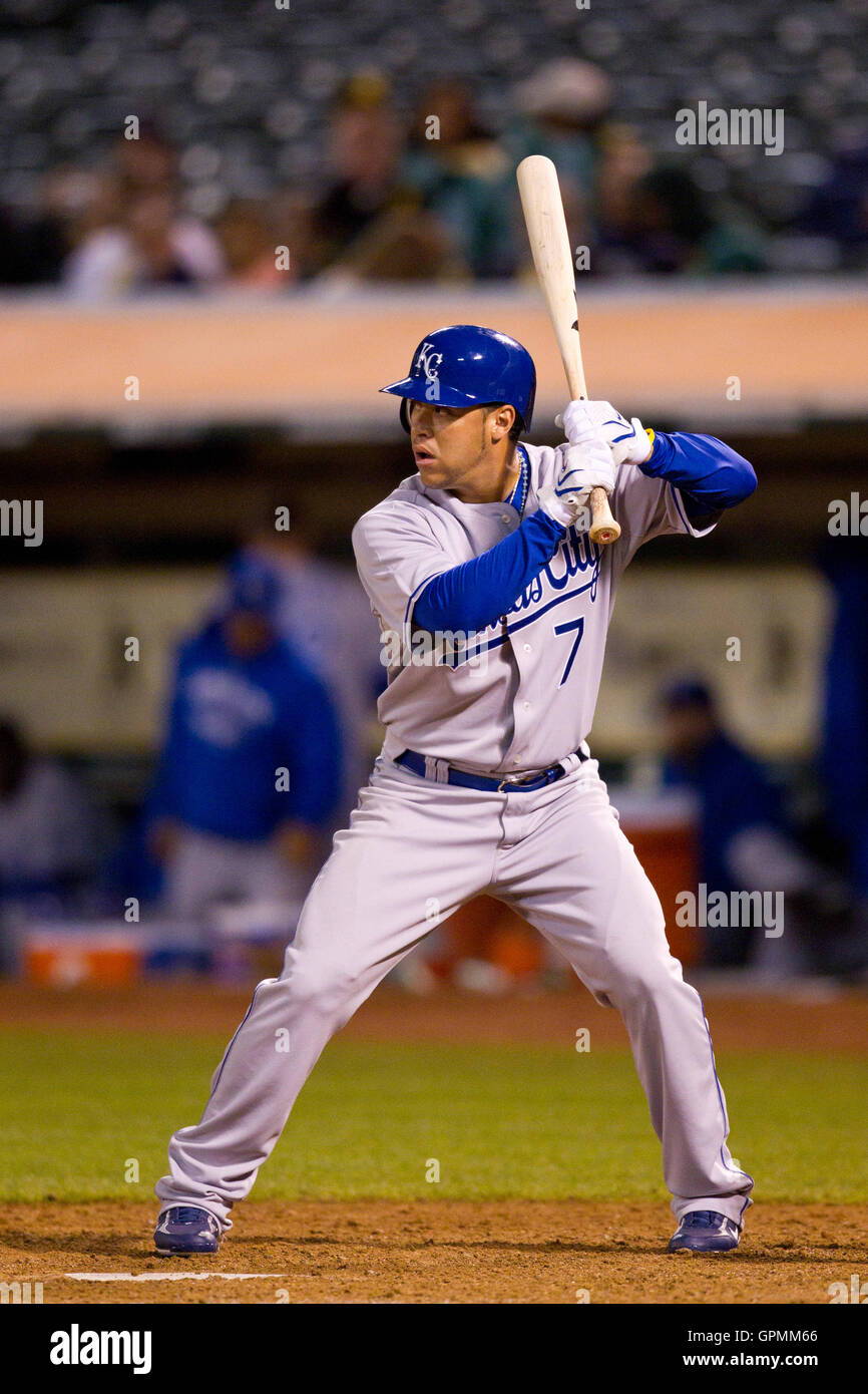 August 2010; Oakland, CA, USA; Kansas City Royals Center Fielder Gregor Blanco (7) beim Schläger gegen die Oakland Athletics während des neunten Inning im Oakland-Alameda County Coliseum. Oakland besiegte Kansas City mit 6:0. Stockfoto