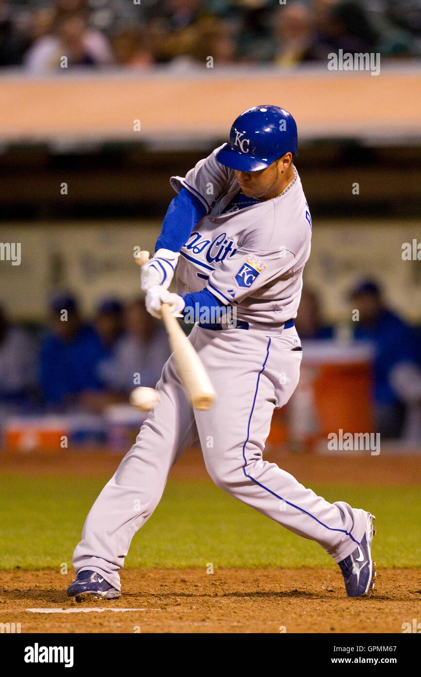 August 2010; Oakland, CA, USA; Kansas City Royals Center Fielder Gregor Blanco (7) beim Schläger gegen die Oakland Athletics während des neunten Inning im Oakland-Alameda County Coliseum. Oakland besiegte Kansas City mit 6:0. Stockfoto