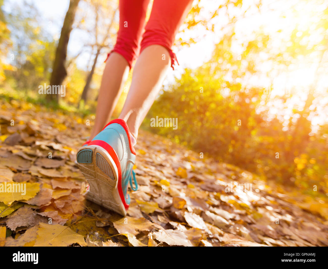 Nahaufnahme der Füße der Frau Läufer laufen im Herbstlaub, Konzept der Trainingsübung Stockfoto