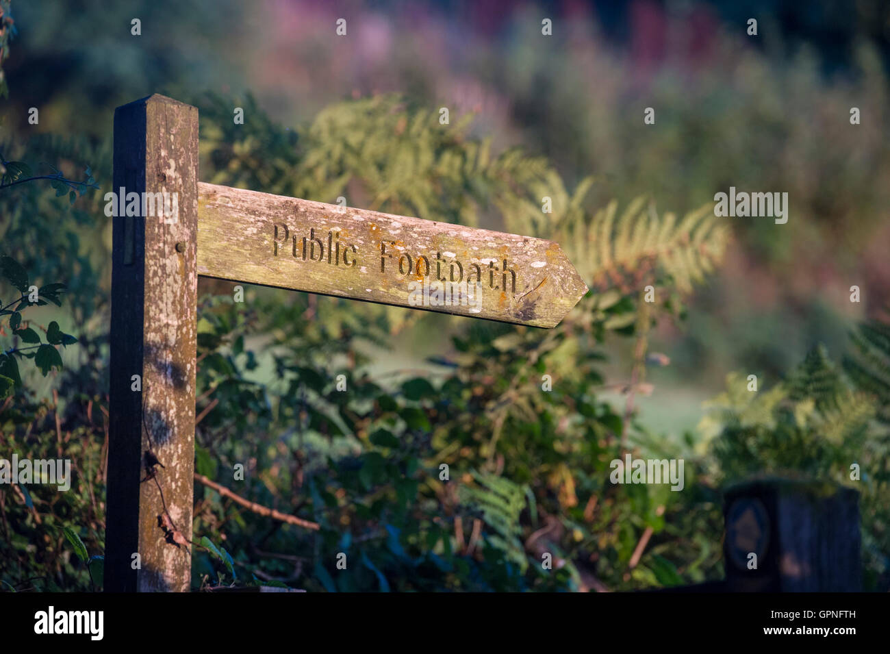 Ein öffentlicher Wanderweg-Zeichen Stockfoto