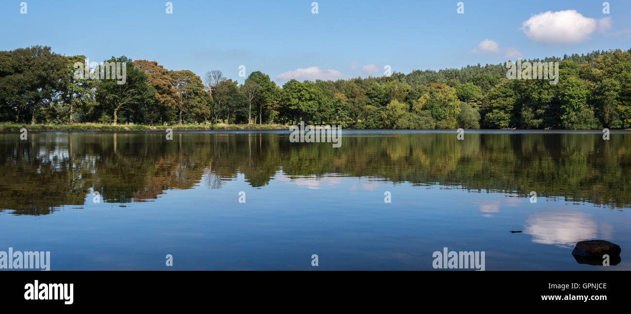 Bäume spiegeln sich in See von Swiss Cottage, Chatsworth Park, Derbyshire, England, UK Stockfoto