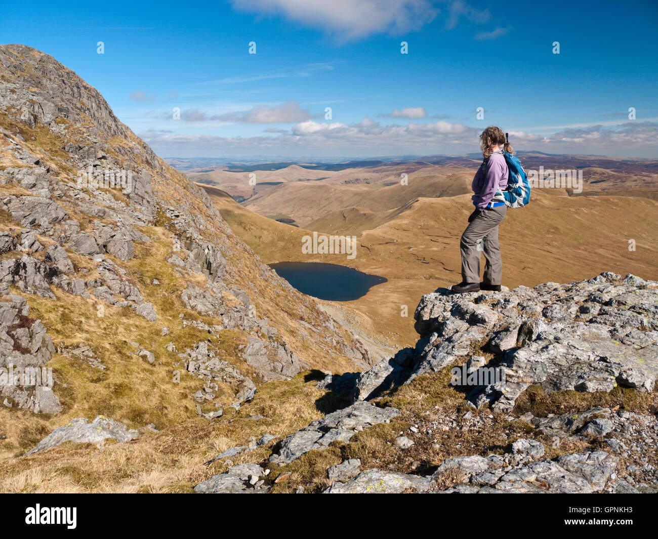 Weibliche Walker bewundert Blick von Aran Fawddwy nach Creiglyn Dyfi, Quelle des Afon Dyfi (River Dovey), Snowdonia, Nordwales Stockfoto