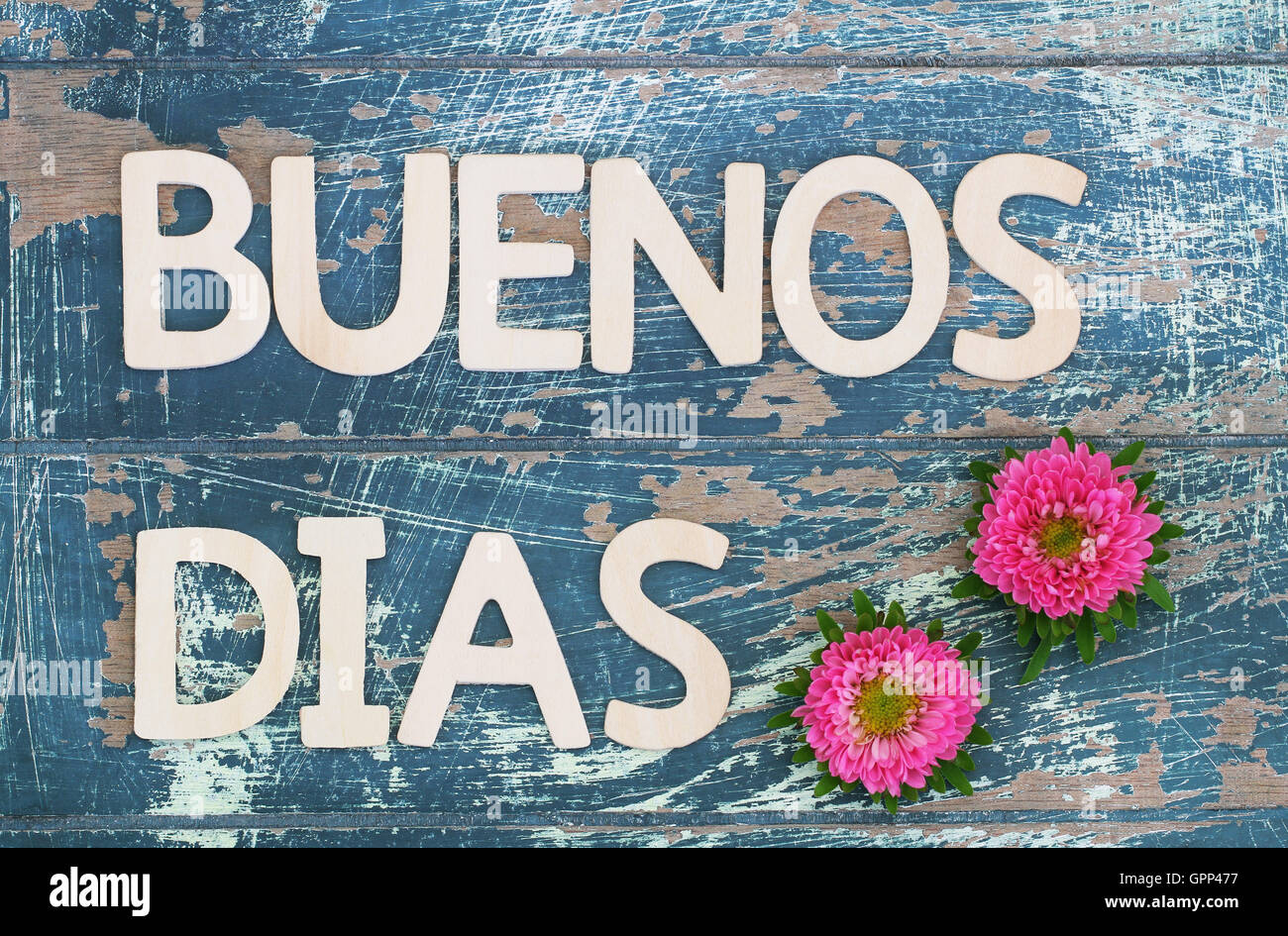 Buenos Dias (guten Morgen in spanischer Sprache) geschrieben mit Holzbuchstaben und rosa Gänseblümchen Stockfoto