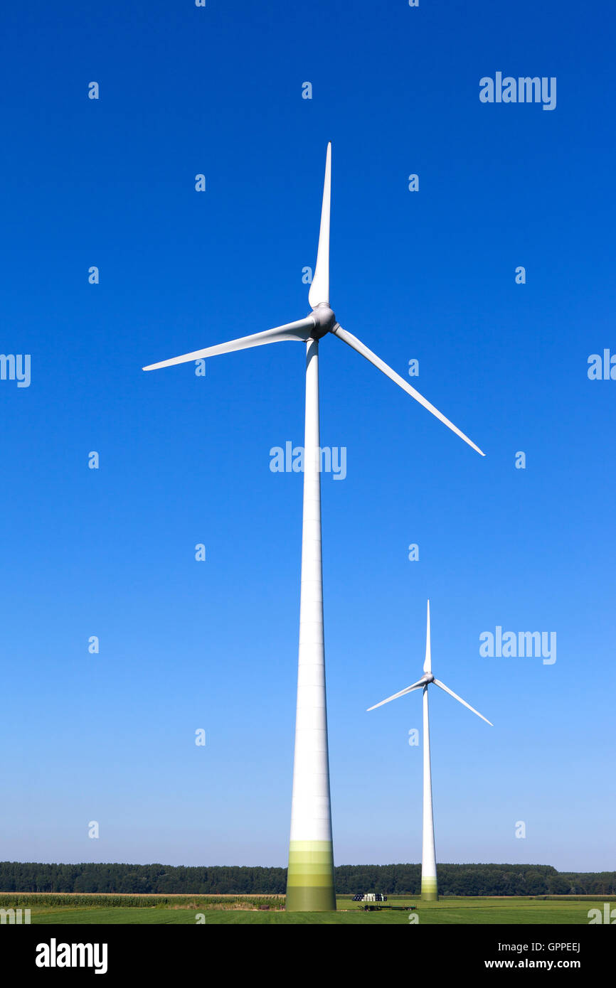 Windkraftanlage in einer grünen Umgebung mit Spinnen Stockfoto