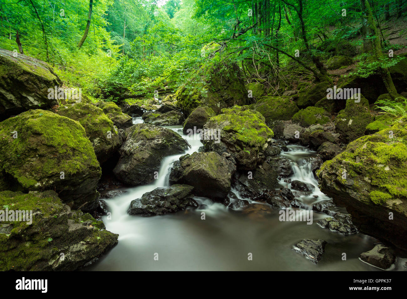Fluss in Frankreich Stockfoto