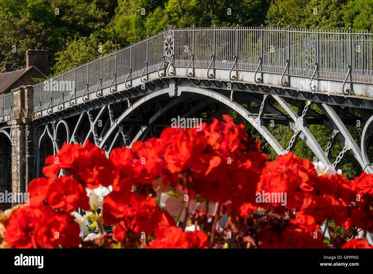 Geranien blühen neben der Eisenbrücke bei Ironbridge, Shropshire, England, UK Stockfoto