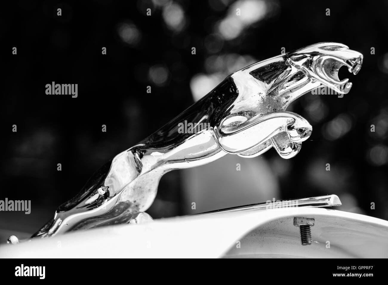 Schwarz / weiß Bild von Jaguar Auto emblem Stockfoto