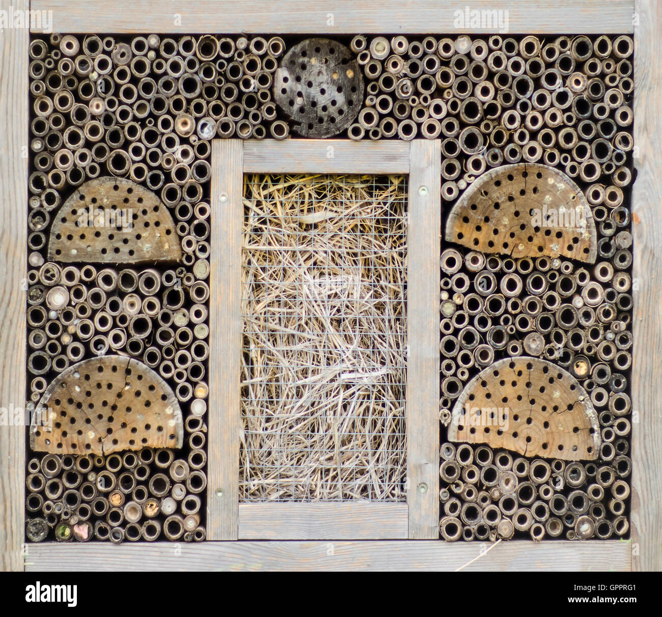 Dekorative Haus für Bienen. Stockfoto