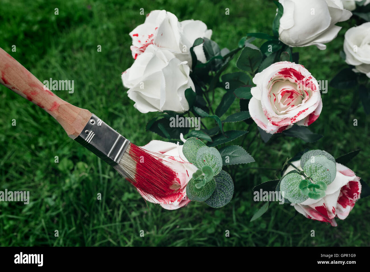 Weiße Rosen und Pinsel Stockfoto