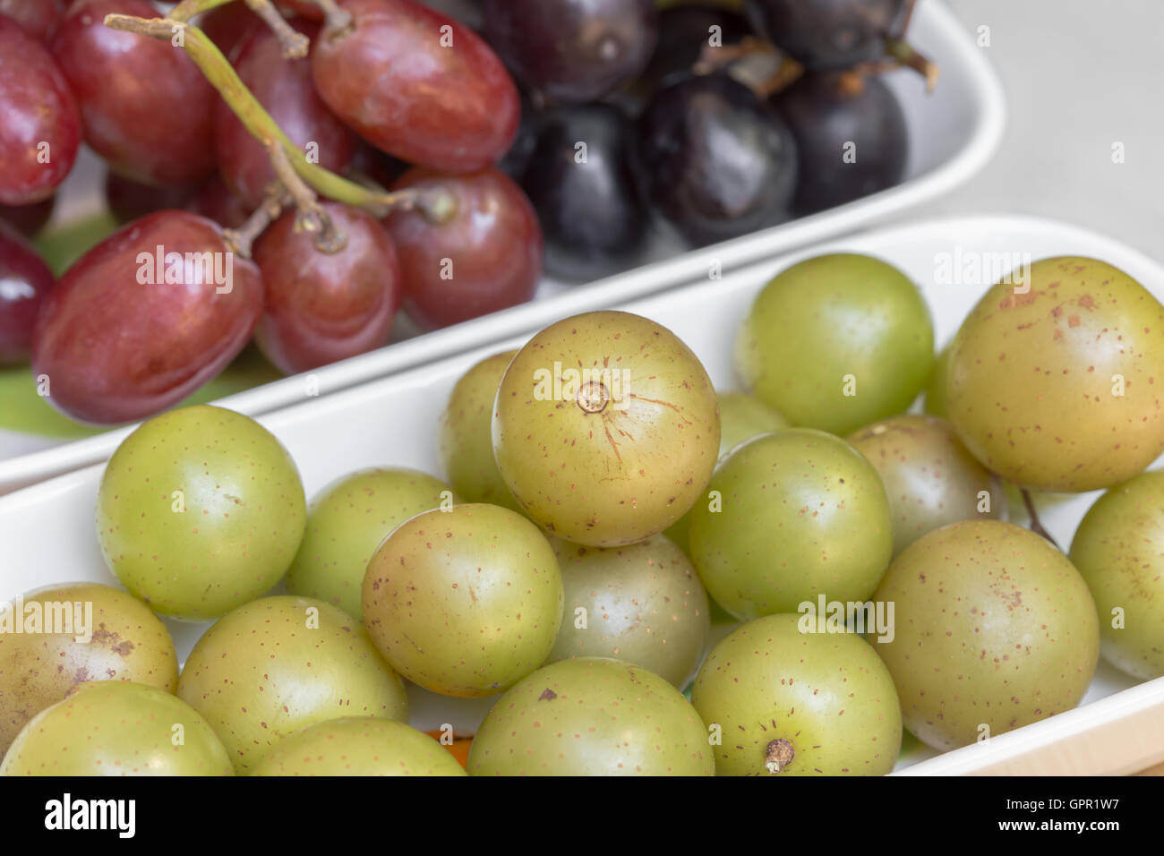 Muscadine Sumpf Trauben haben ein dickes Fell und einen herben Geschmack. Rote und schwarze Trauben sind im Hintergrund. Stockfoto