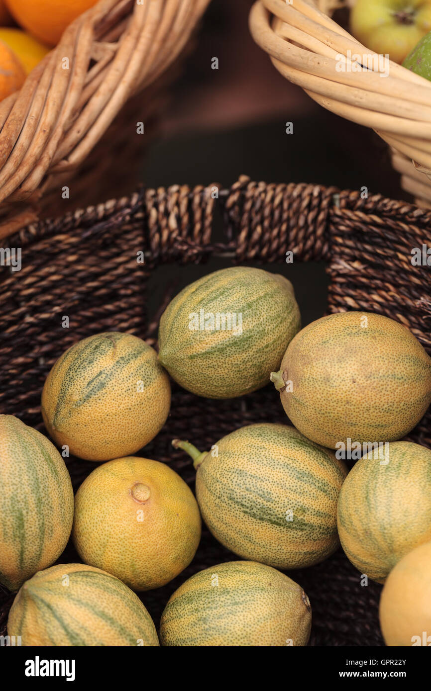 Zitrone Limette Hybrid Früchte in einem Korb auf einem Bauernmarkt Stockfoto