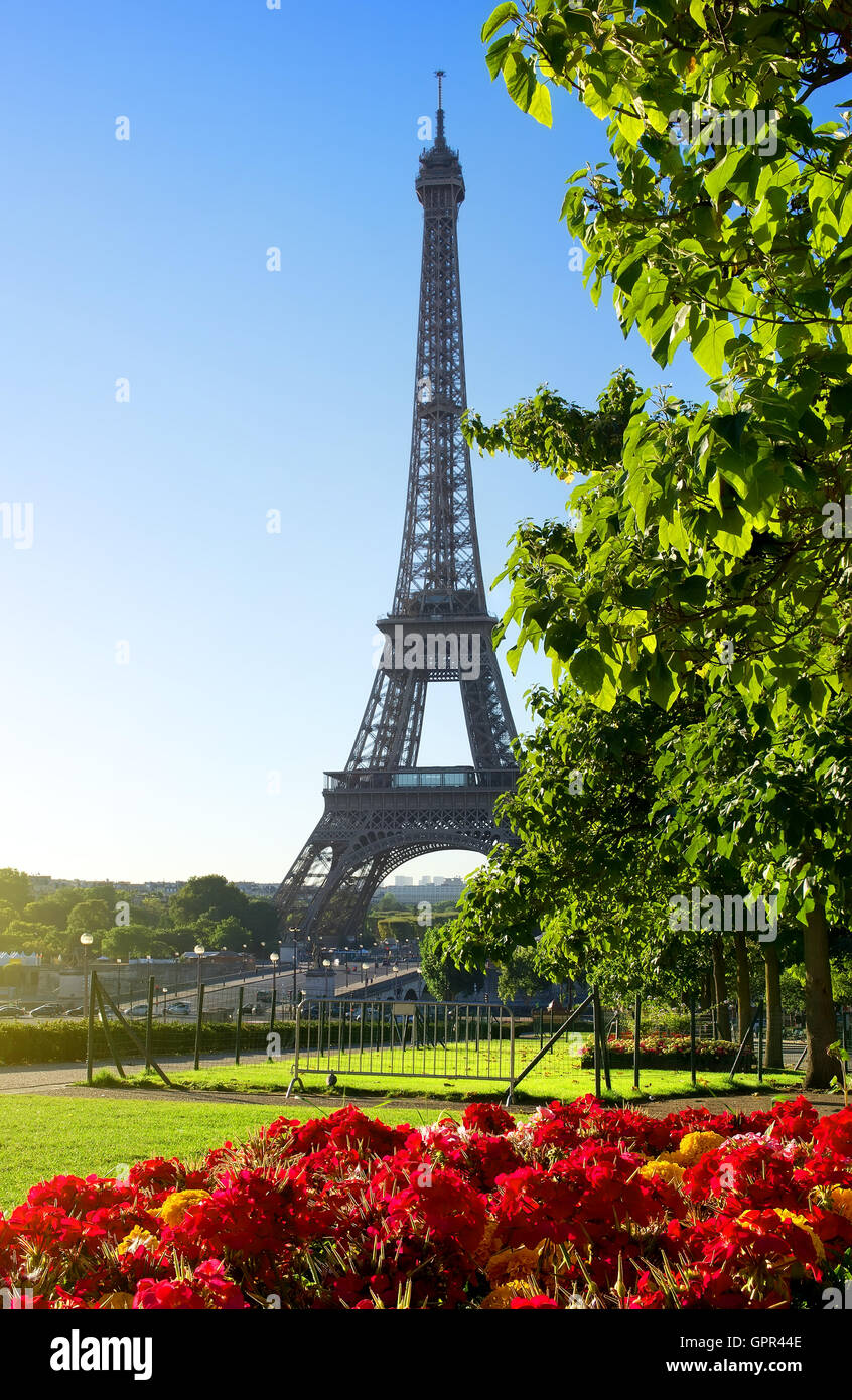 Sonniger Morgen und Eiffelturm, Paris, Frankreich Stockfoto