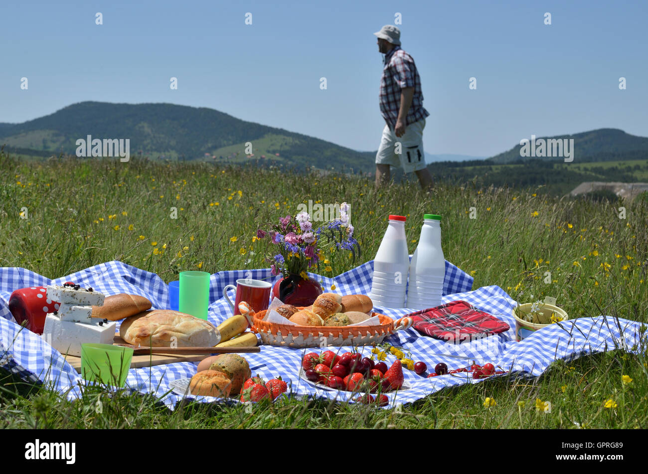 Reichhaltiges Picknick Essen auf Wiese mit Picknicker verschwommen im Hintergrund Stockfoto