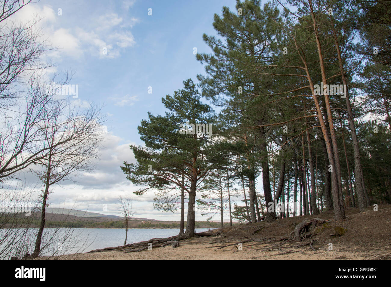 Cuerda del Pozo-Landschaft Stockfoto