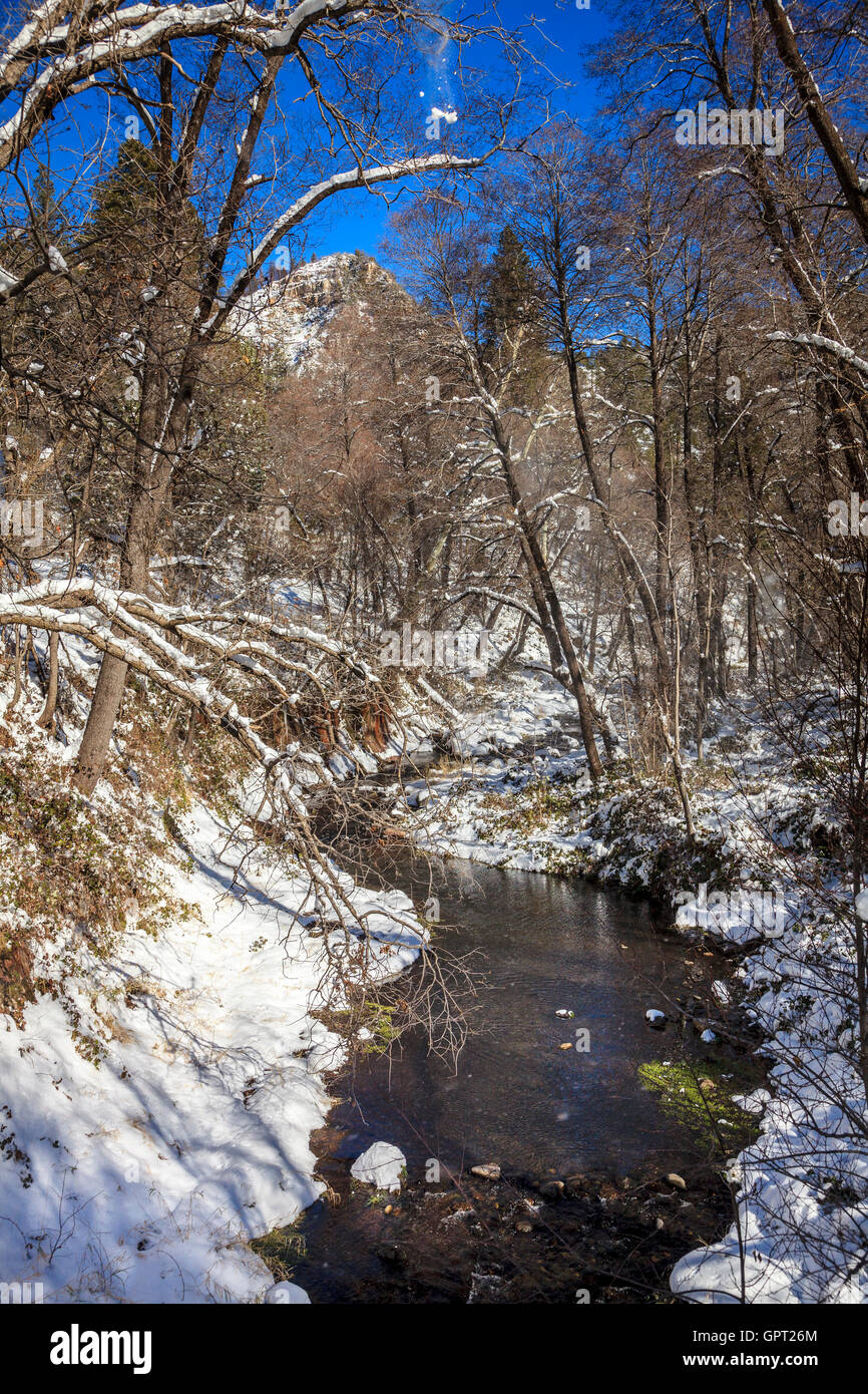 Oak Creek auf West Fork Trail in der Nähe von Sedona, Arizona im winter Stockfoto