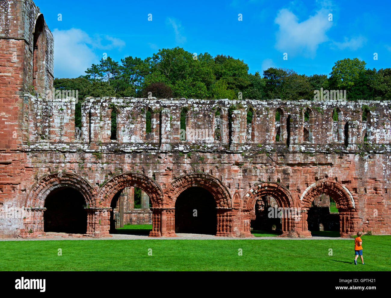 Furness Abbey, in der Nähe von Barrow-in-Furness, South Lakeland, Cumbria, England UK Stockfoto