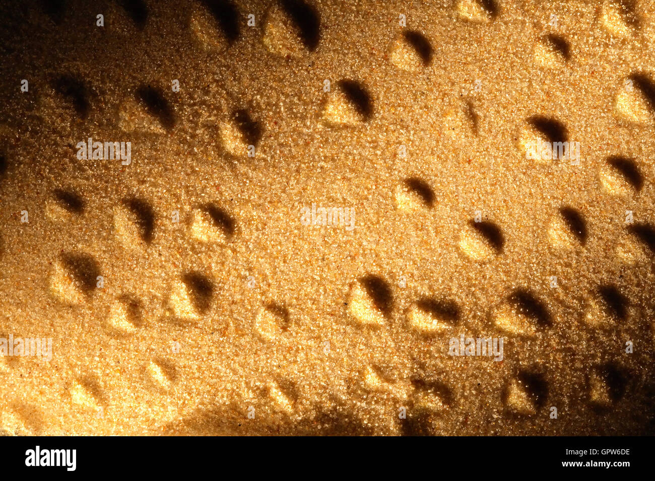 Sand-Hintergrund Stockfoto