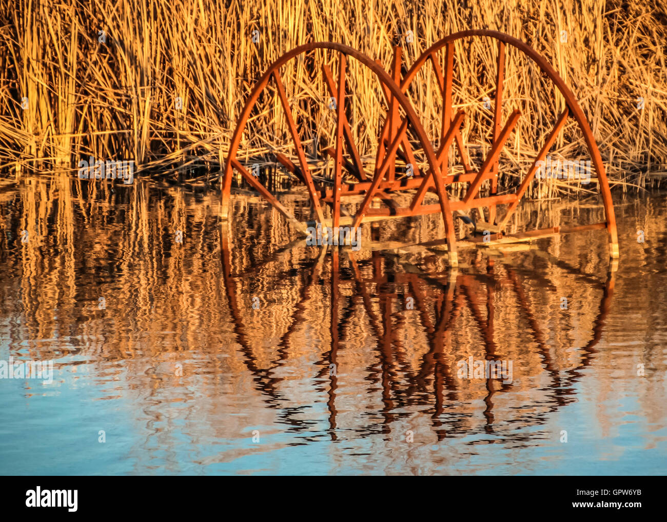 Ein rostigen Rad von landwirtschaftlichen Ernten Ausrüstung legt Ruhelagerung teilweise unter Wasser in einem nahe gelegenen Teich, umgeben von hohen grass Stockfoto