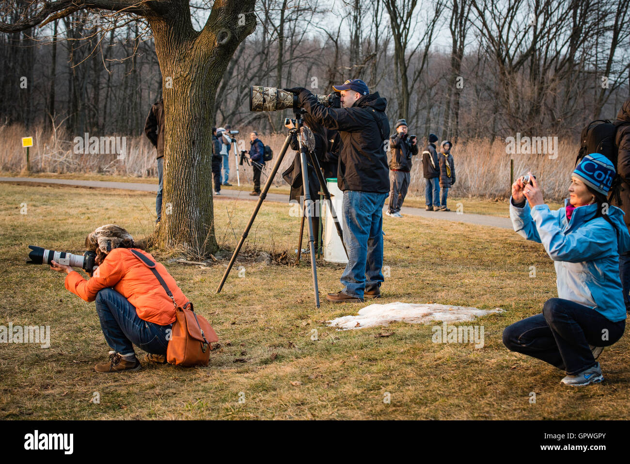 Mittleren Creek Wildlife Vogelschutzgebiet.  Zwischenstopp für kanadischen Schneegänse, Wasservögel. und anderen unzähligen Tierarten. Stockfoto