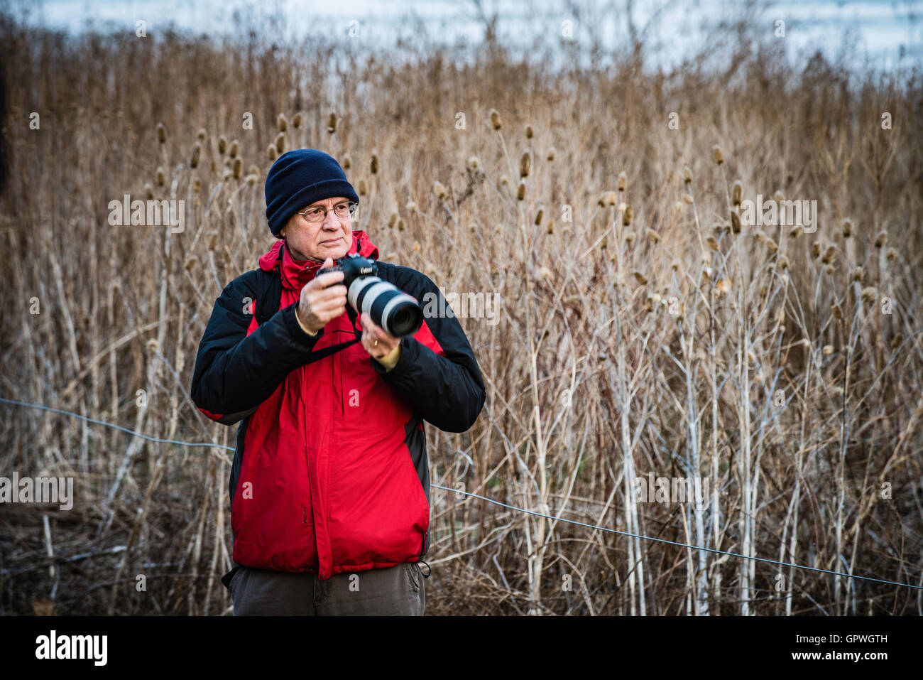 Mittleren Creek Wildlife Vogelschutzgebiet.  Zwischenstopp für kanadischen Schneegänse, Wasservögel. und anderen unzähligen Tierarten. Stockfoto