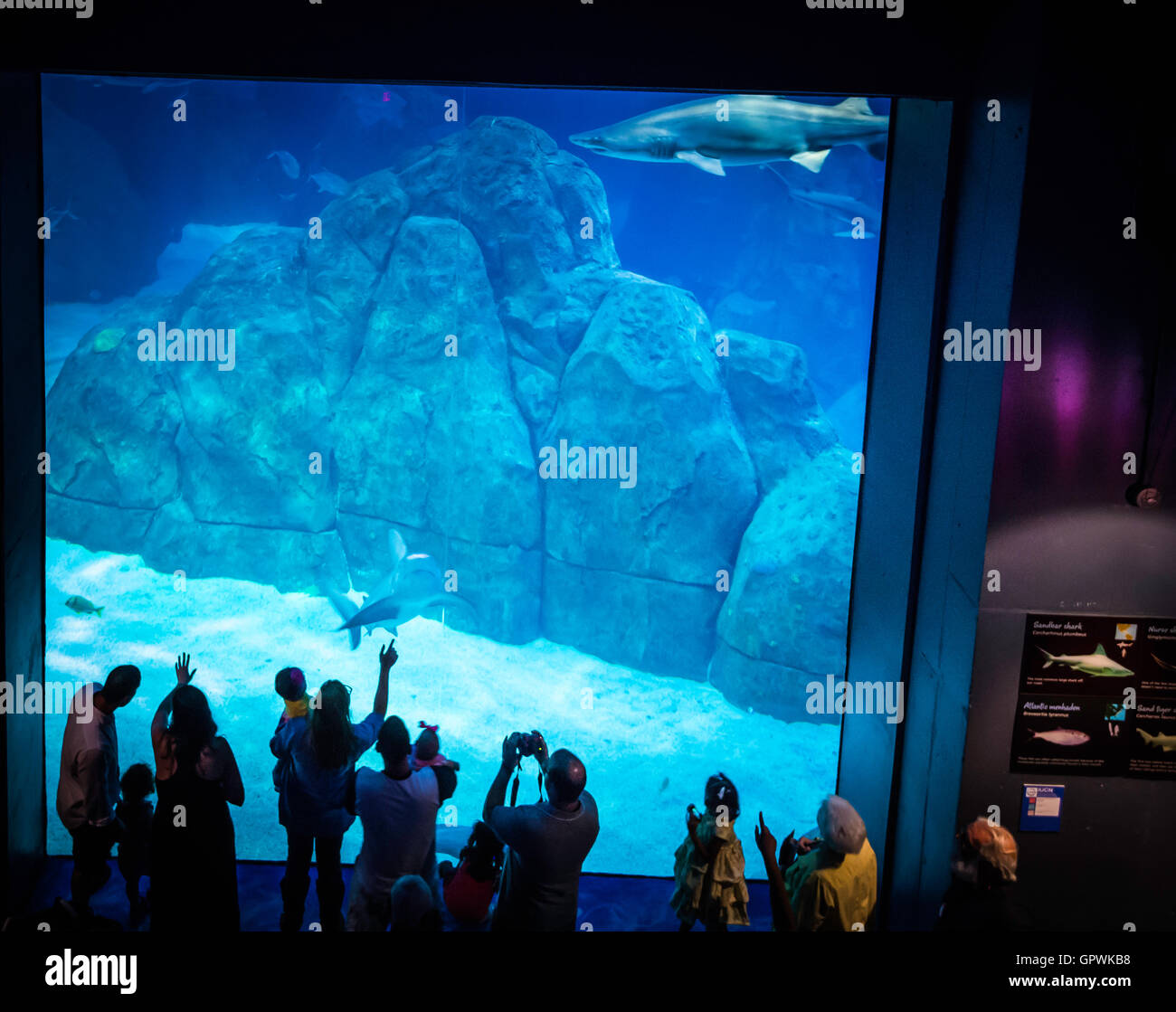 Öffentliche Aquarium, Camden, NJ. Stockfoto