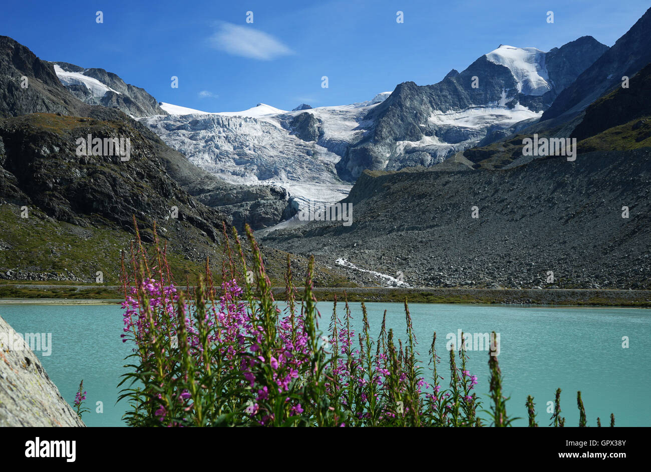 Moiry Gletscher am See Moiry, Walliser Alpen, Schweiz Stockfoto