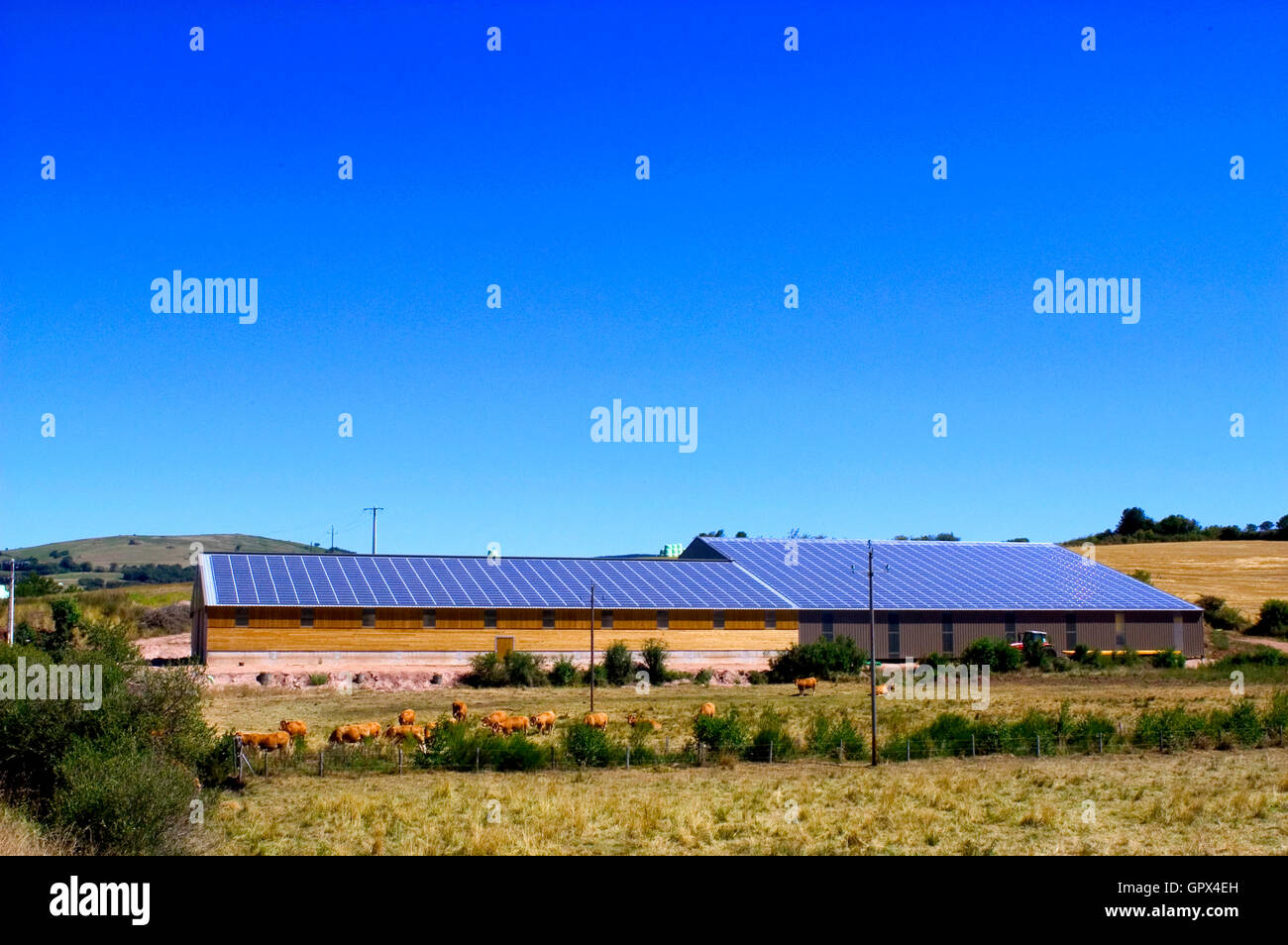 landwirtschaftliche Gebäude mit einem Dach bedeckt mit Solarzellen zur Stromerzeugung und Einkommen und Ausgaben zu reduzieren Stockfoto