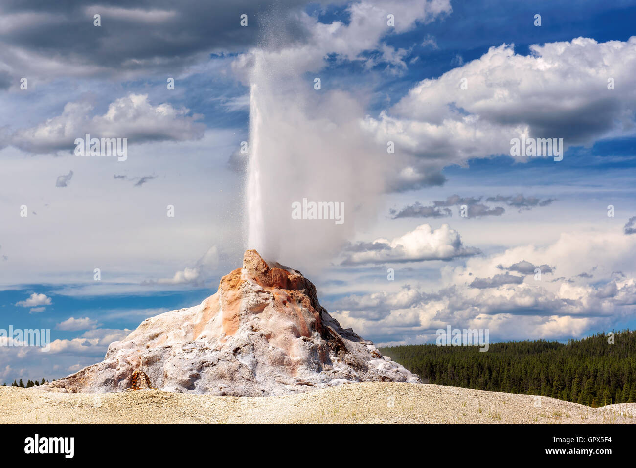 Castle-Geysir Ausbruch im Yellowstone-Nationalpark, Wyoming, USA Stockfoto