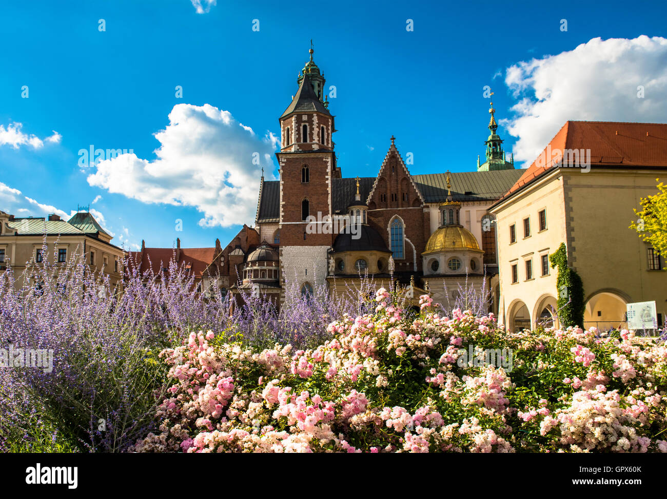 Wawel-Kathedrale in Krakau, Polen Stockfoto