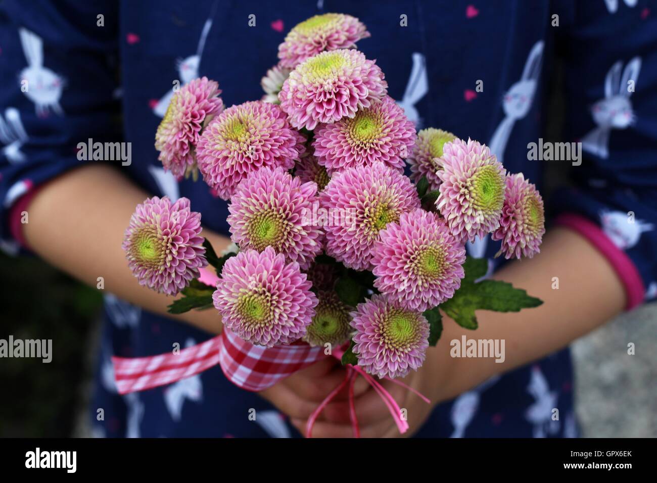Ein Bouquet von rosa Blumen in den Händen eines Mädchens - Muttertag, der Großmutter Tag Stockfoto