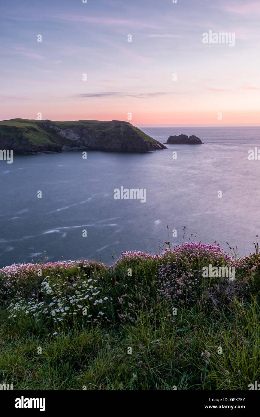 Blick über die Klippen von Tintagel Stockfoto