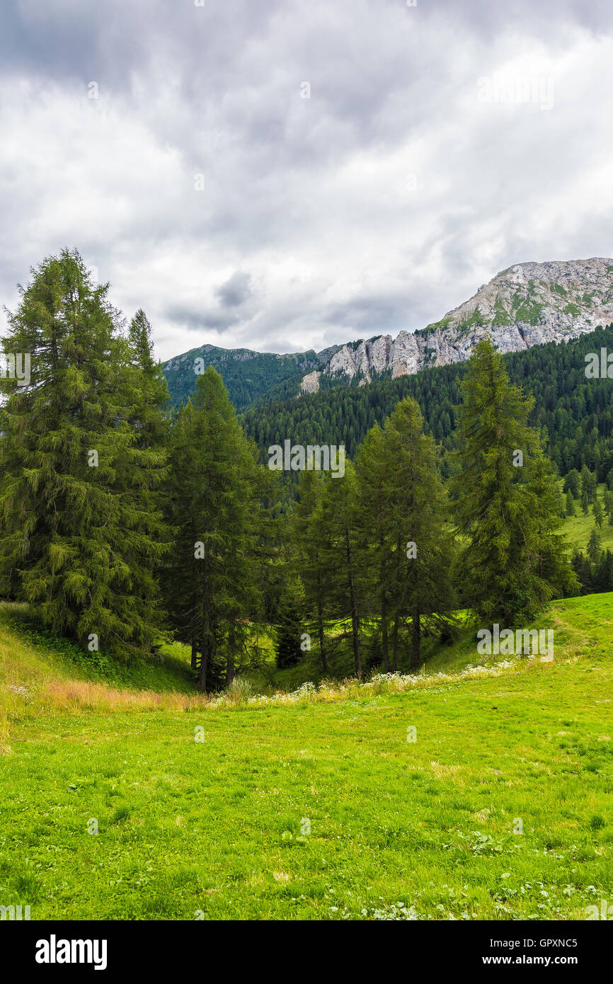 Landschaft der Alpen in Italien Sommer Stockfoto