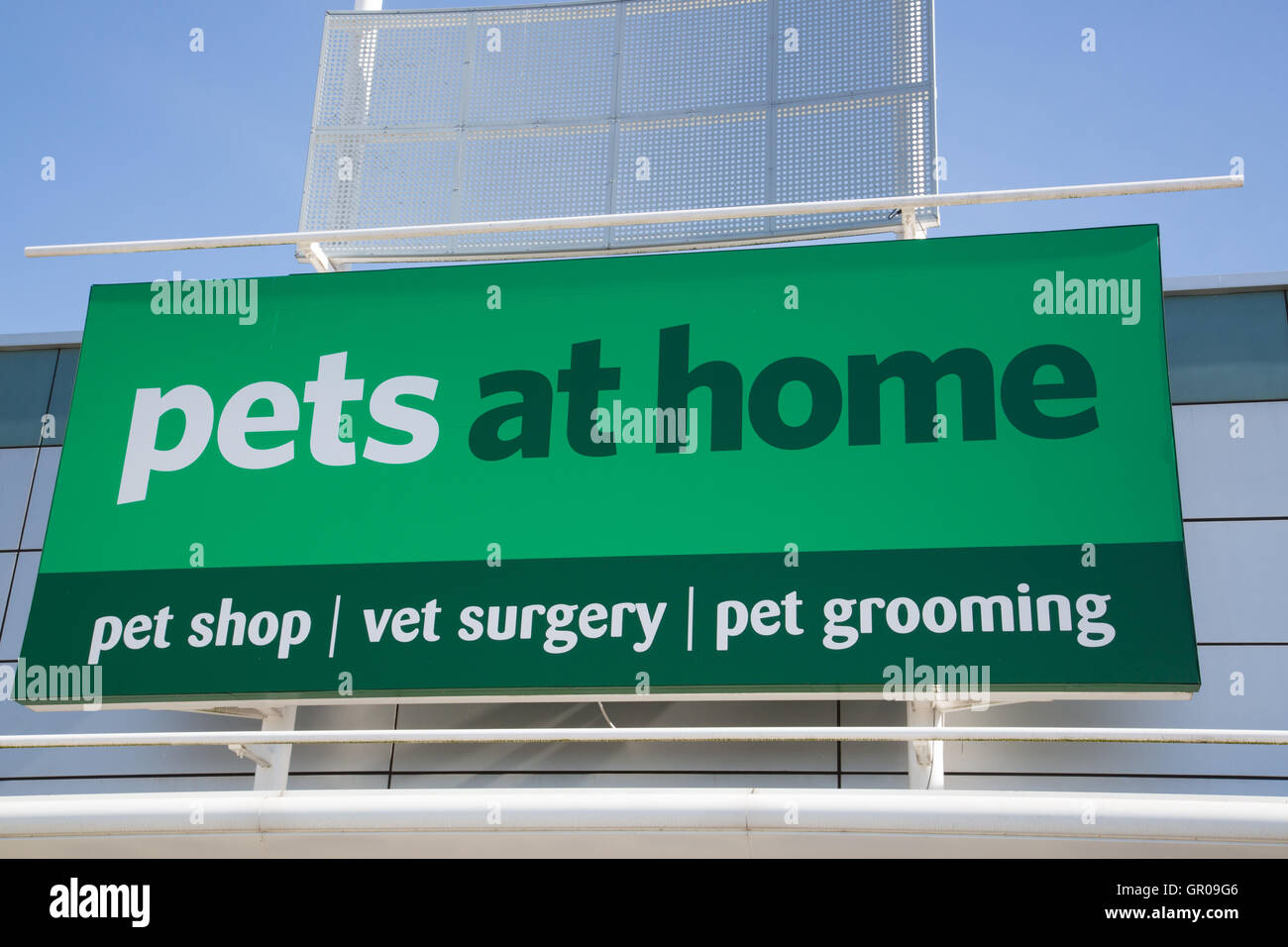 Haustiere zu Hause Stockfoto