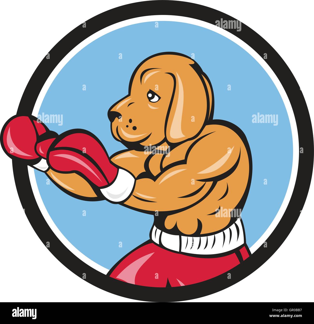 Abbildung von einem Hund Boxer in eine Kampfposition der Seitenansicht im inneren Kreis auf isolierte Hintergrund getan im Cartoon-Stil festgelegt. Stock Vektor