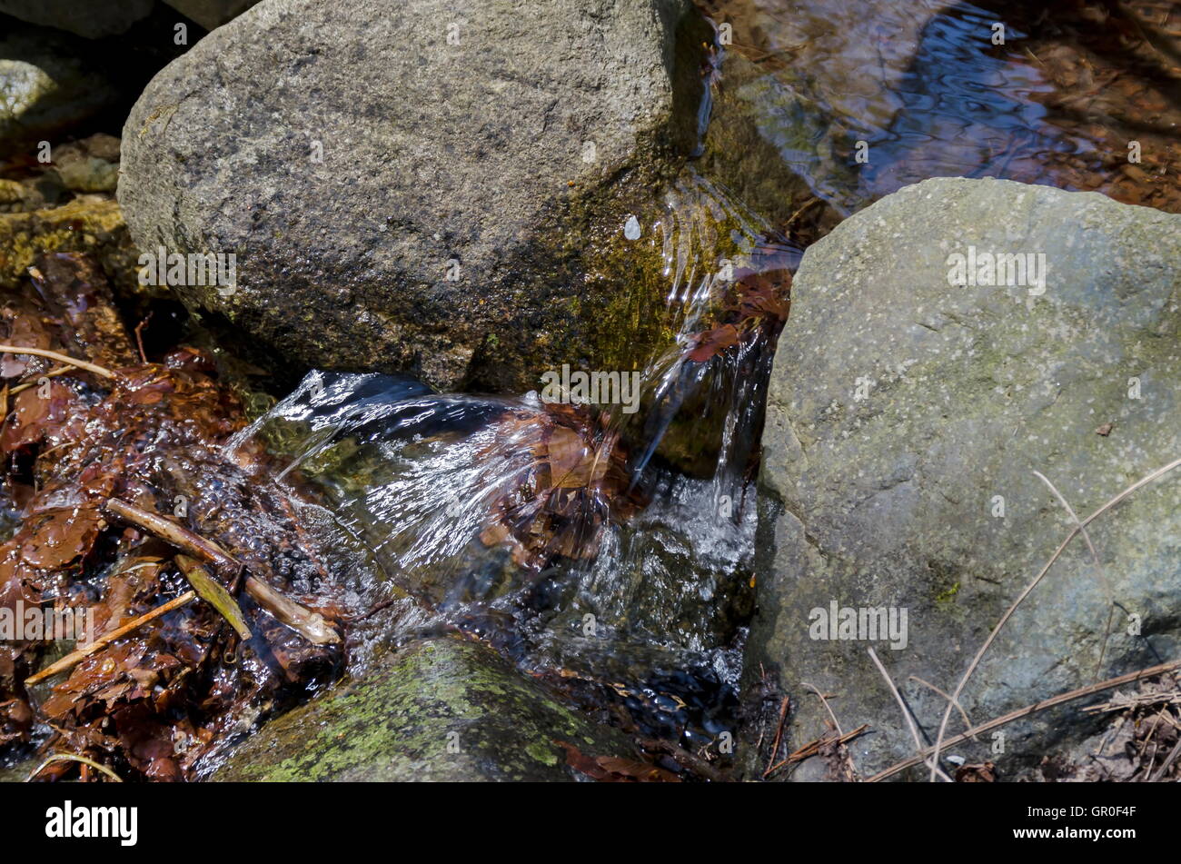 Kleinen Bergfluss in Vitosha Berg, Sofia Stockfoto