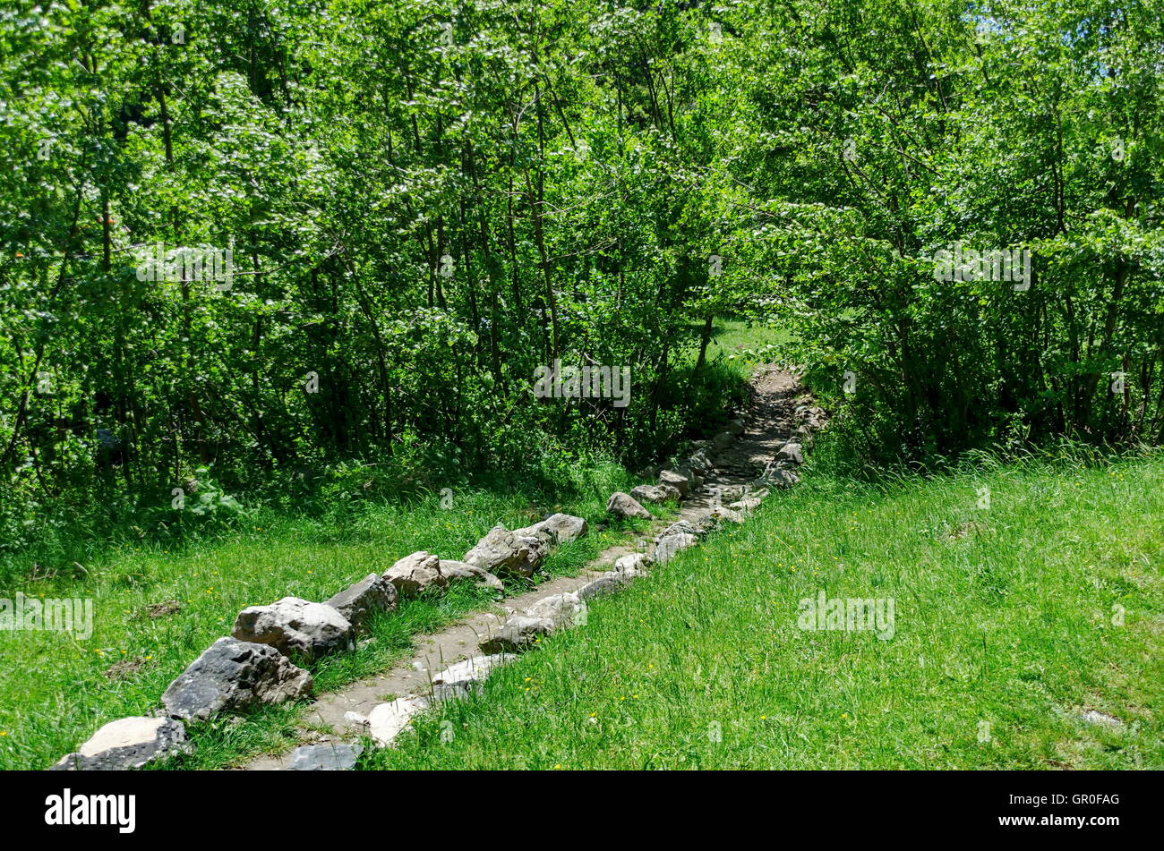 Witoschagebirge im Frühjahr in der Nähe von Sofia Stockfoto