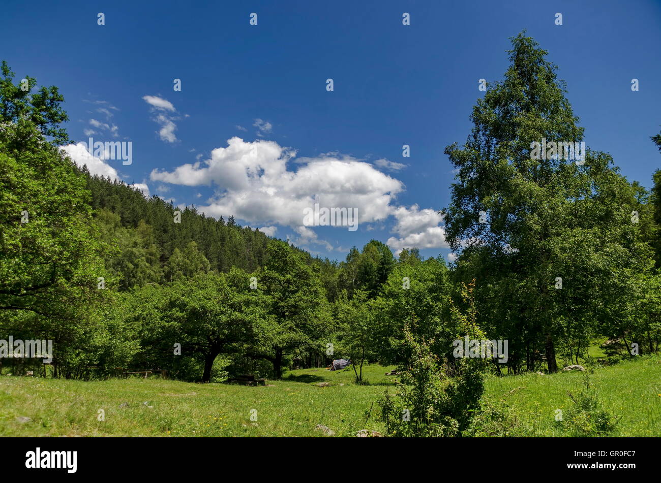 Witoschagebirge im Frühjahr in der Nähe von Sofia Stockfoto