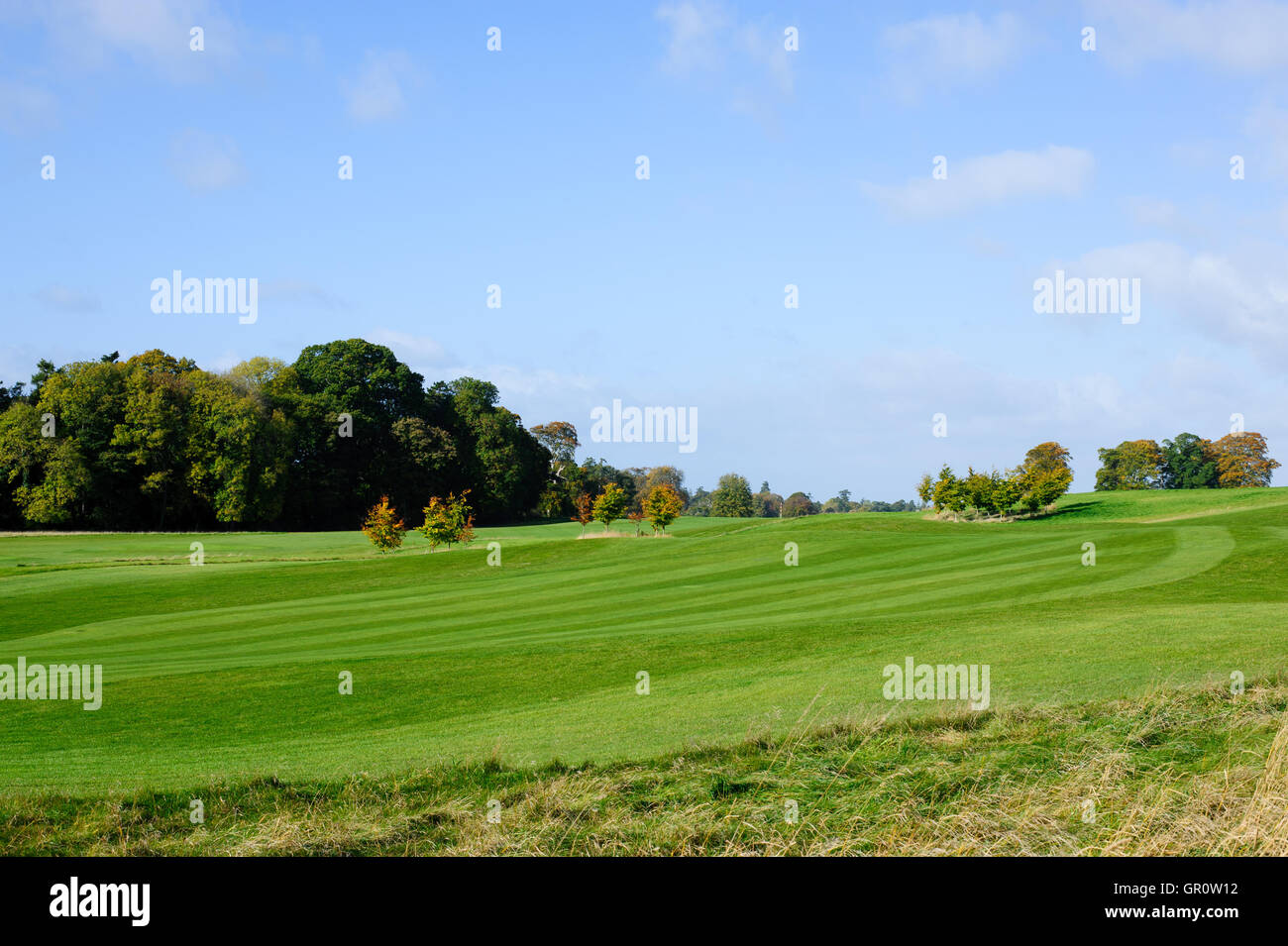 Schönen sonnigen Herbsttag auf einem Golfplatz Stockfoto