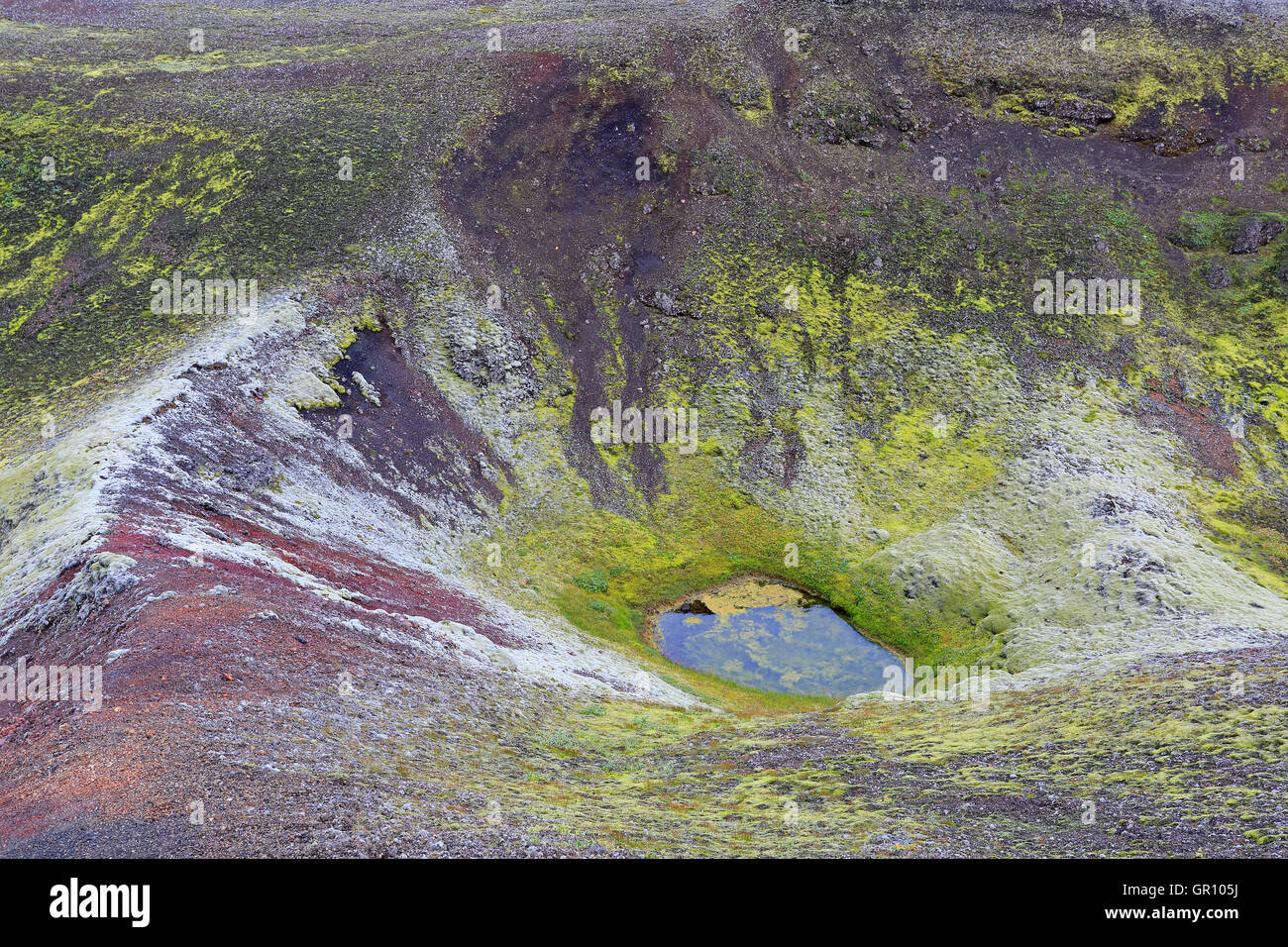 Bild von bunten Rock und Moos bedeckt Boden im Hochland von Island Stockfoto